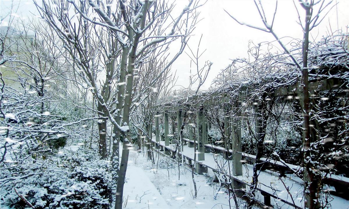 黑龙江-雪的故乡