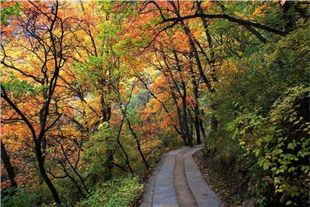 北京百花山自然风景区