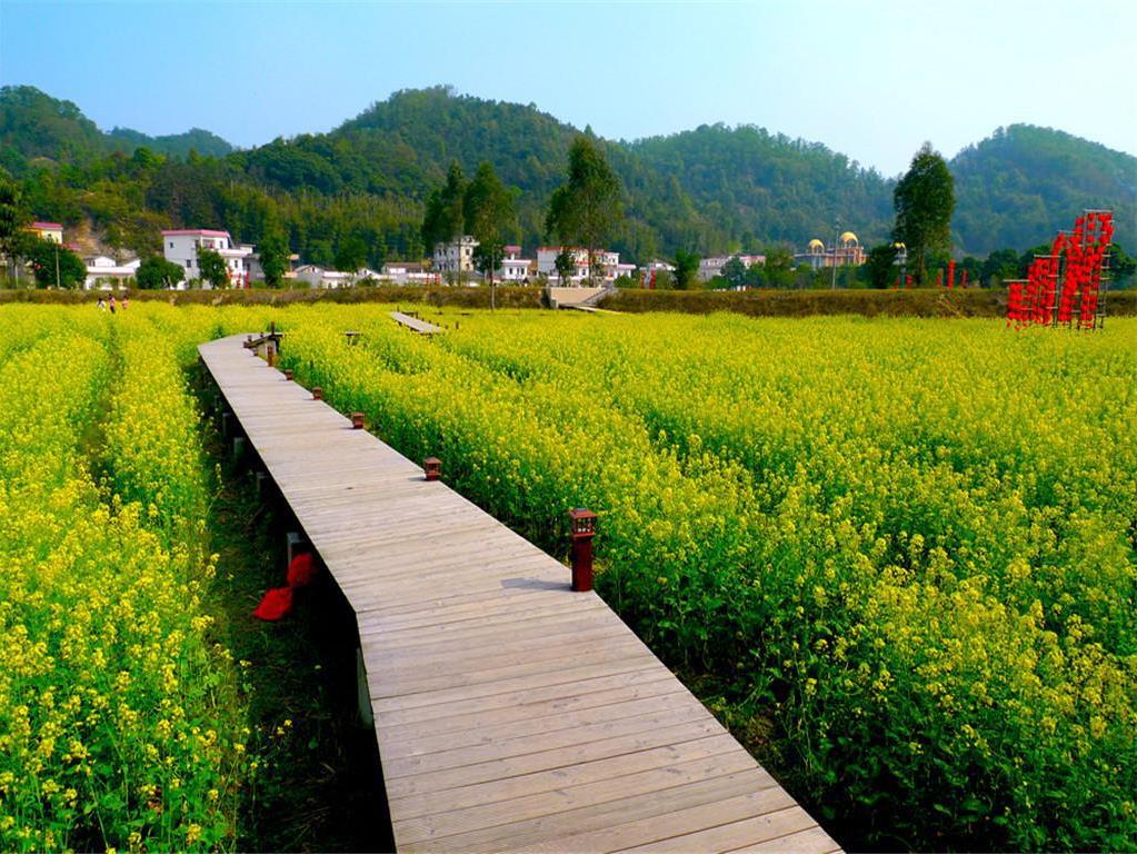 广州花都红山村