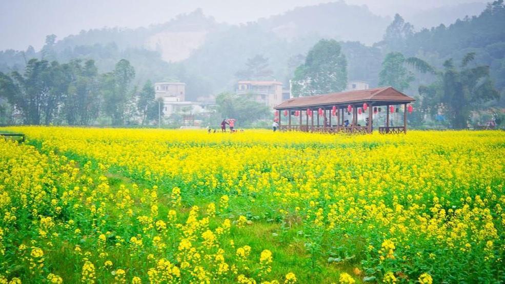 广州花都红山村