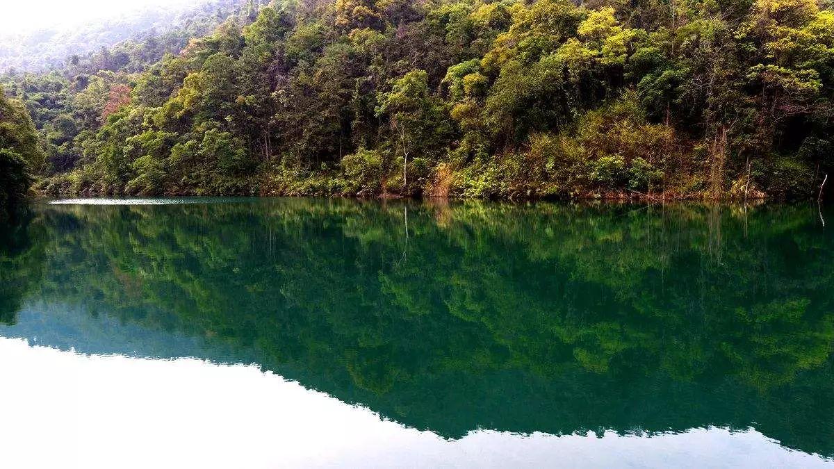 广州花都区王子山森林公园