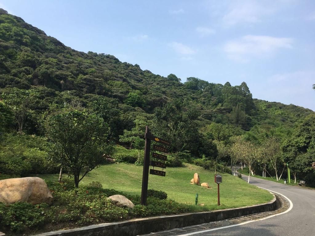 广州黄山鲁森林公园