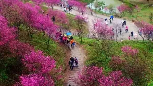 广州黄山鲁森林公园