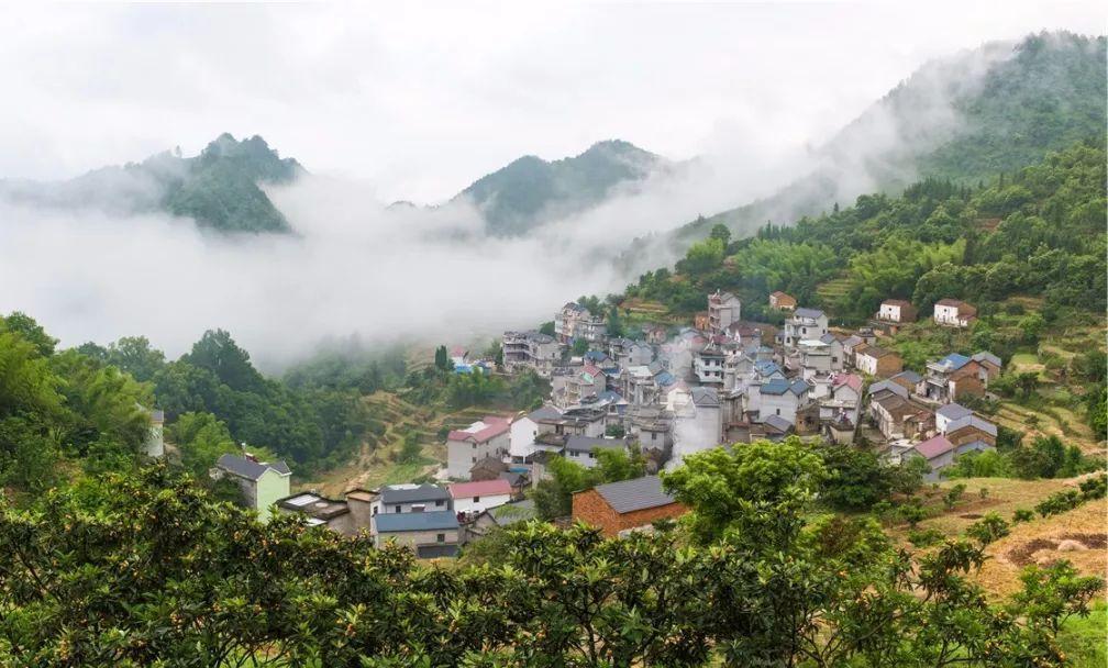 广州湖山枇杷园