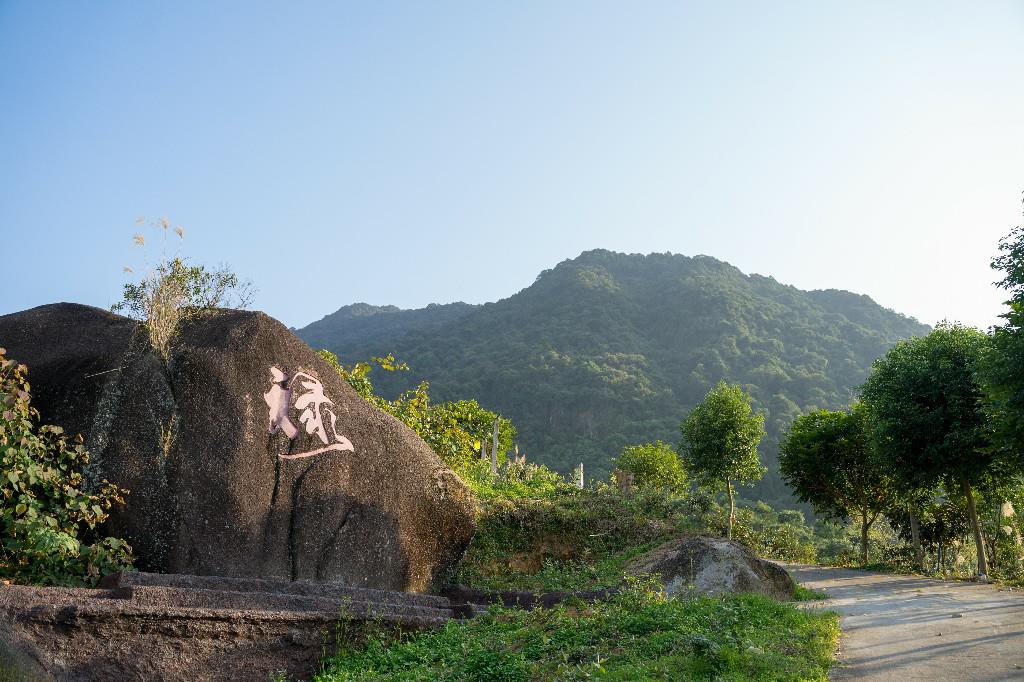 从化香蜜山葡萄庄园