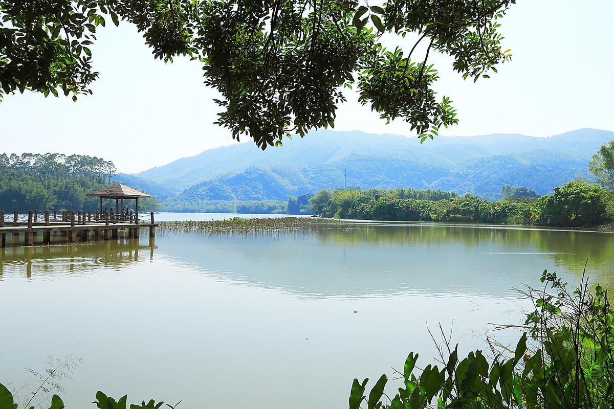 广州增城湖心岛