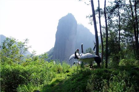 天津九龙山森林公园