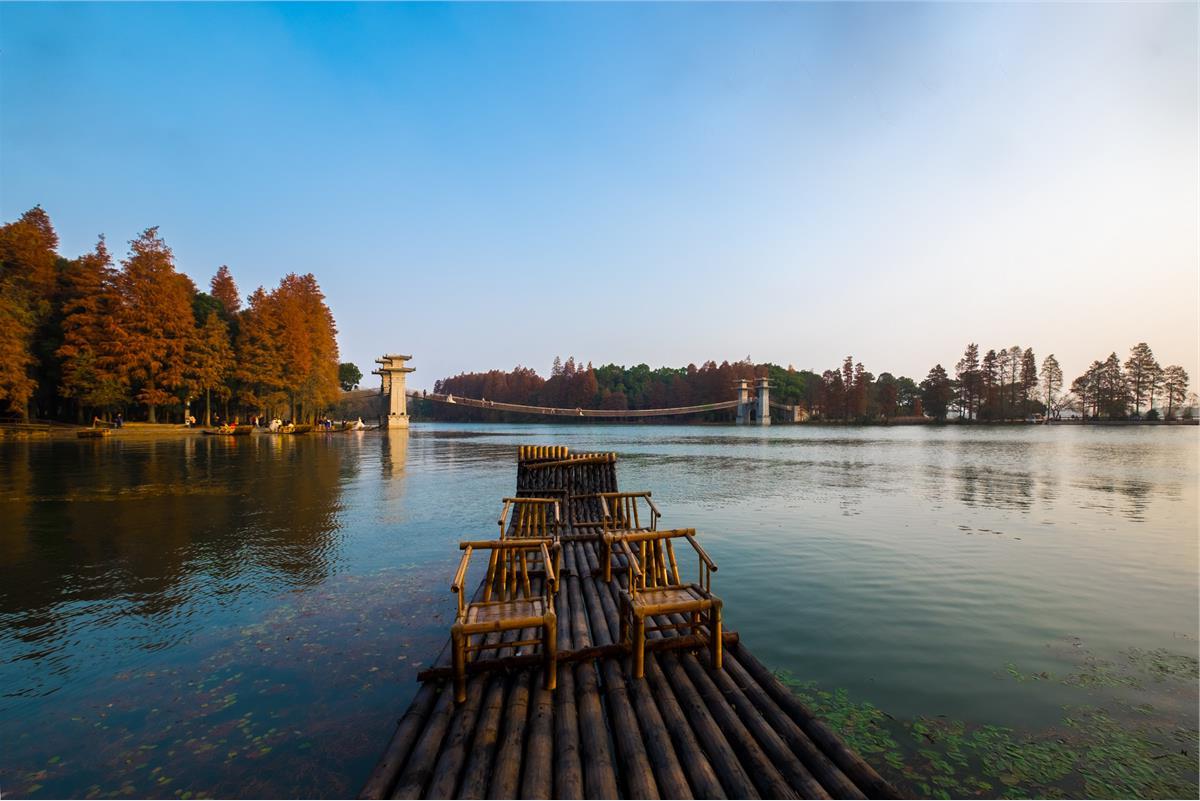 武汉东湖落雁松鼠园