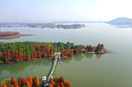 武汉东湖落雁松鼠园