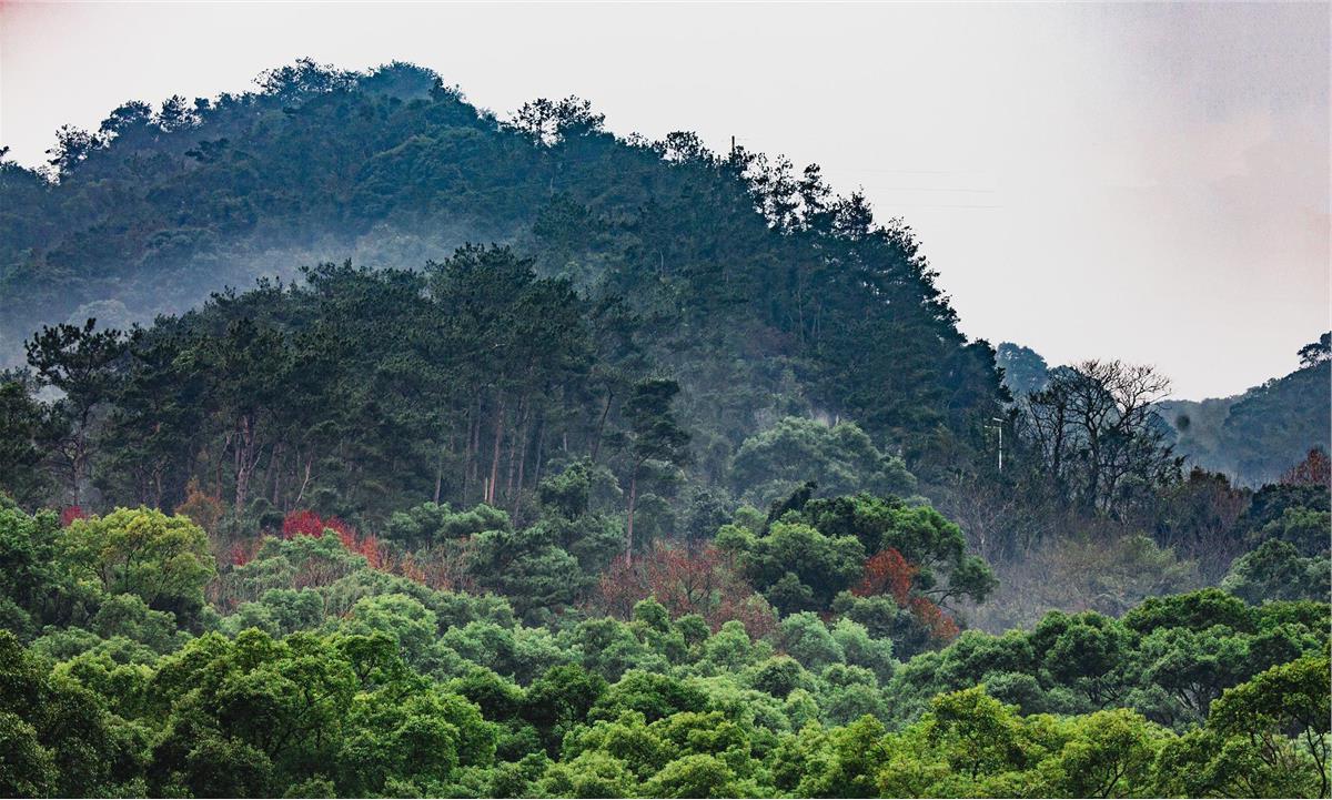 福州旗山国家森林公园