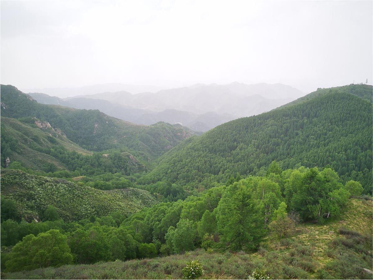 石家庄驼梁风景区