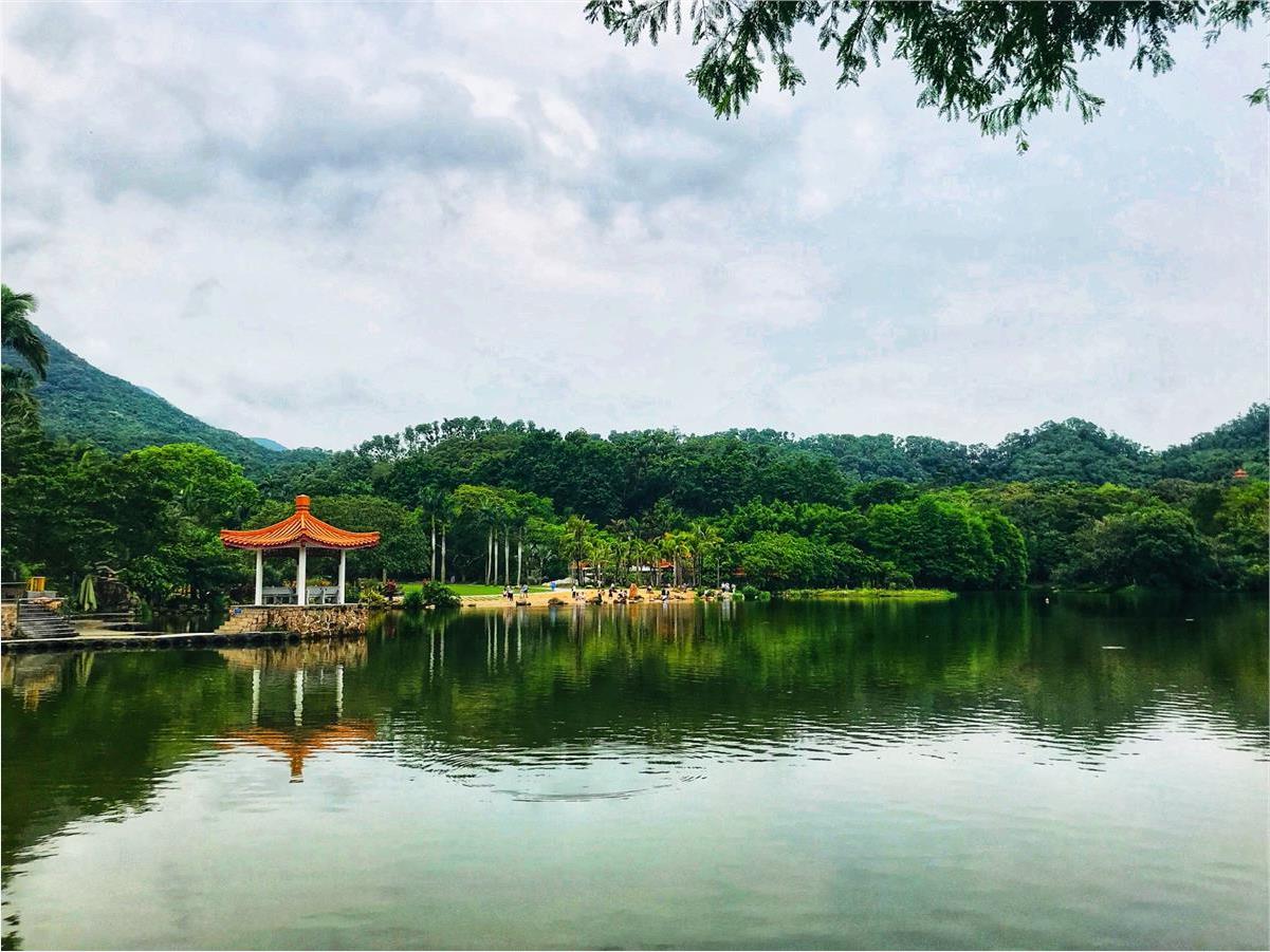 深圳仙湖植物园