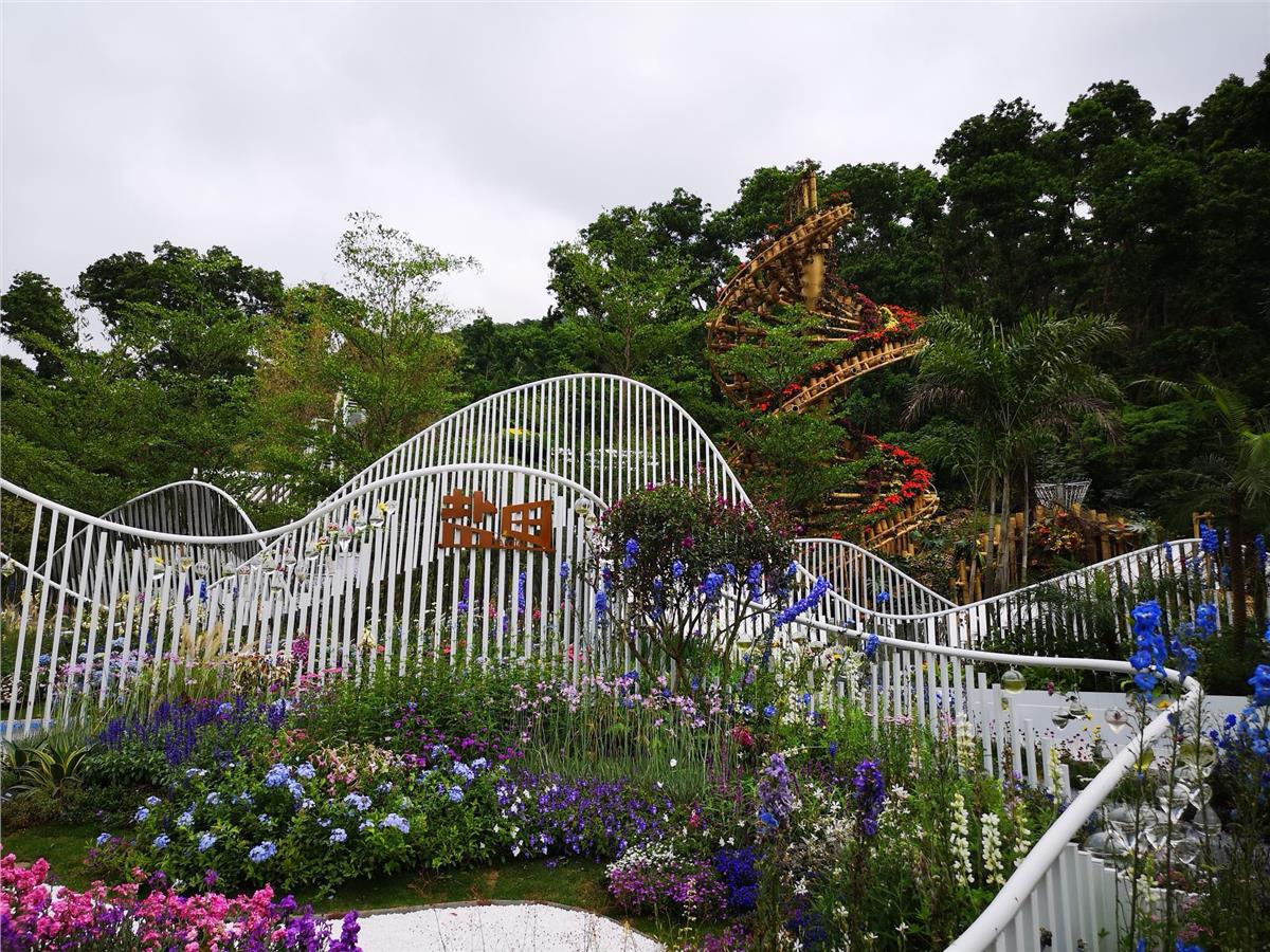 深圳仙湖植物园