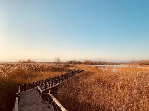 北京野鸭湖国家湿地公园