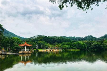 深圳仙湖植物园