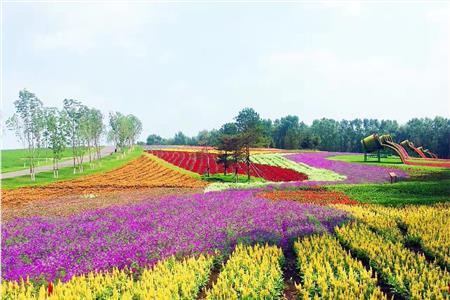 南京谷里薰衣草庄园