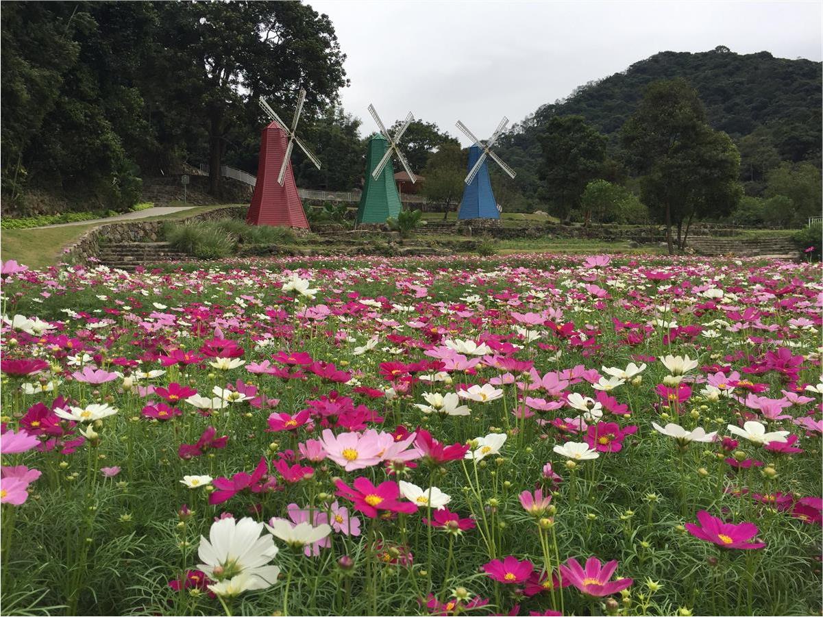 广州增城二龙山