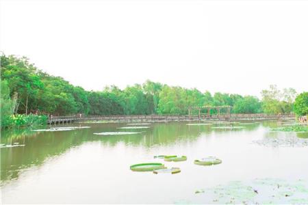 广州南沙水鸟世界生态园
