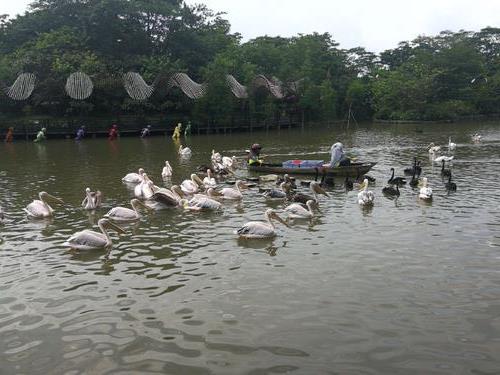 广州南沙水鸟世界生态园