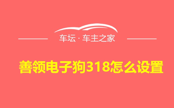 善领电子狗318怎么设置