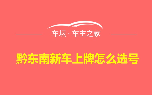 黔东南新车上牌怎么选号