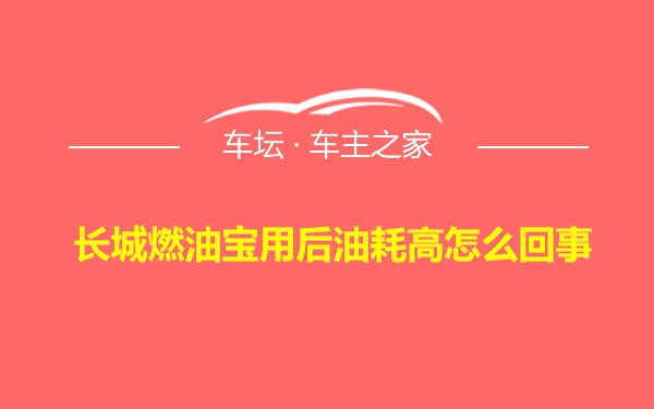 长城燃油宝用后油耗高怎么回事