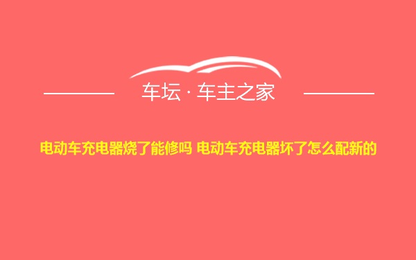 电动车充电器烧了能修吗 电动车充电器坏了怎么配新的