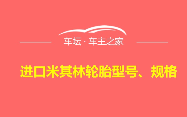 进口米其林轮胎型号、规格