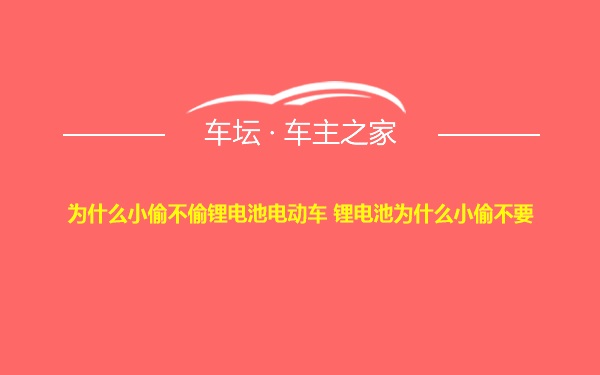 为什么小偷不偷锂电池电动车 锂电池为什么小偷不要