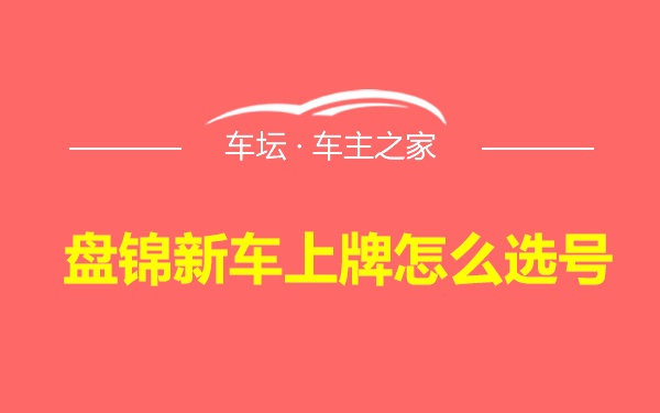 盘锦新车上牌怎么选号