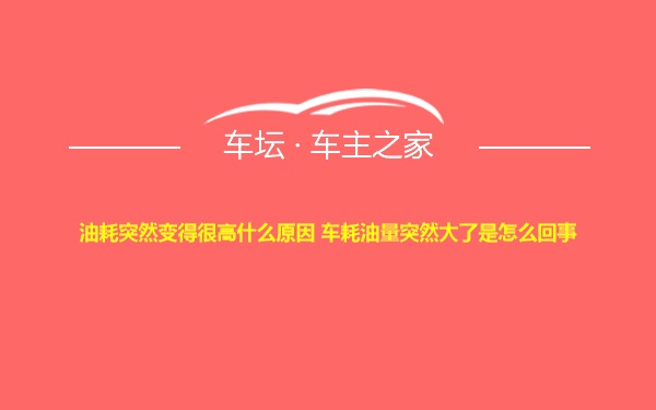 油耗突然变得很高什么原因 车耗油量突然大了是怎么回事