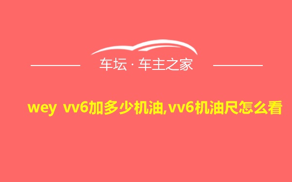 wey vv6加多少机油,vv6机油尺怎么看