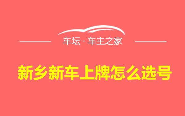 新乡新车上牌怎么选号
