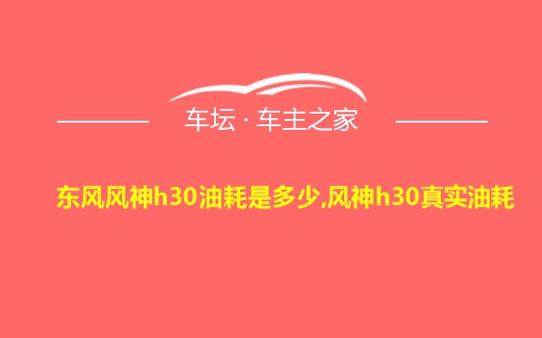 东风风神h30油耗是多少,风神h30真实油耗