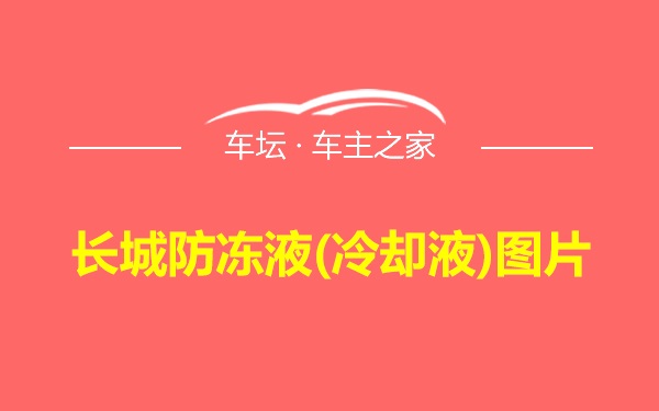 长城防冻液(冷却液)图片