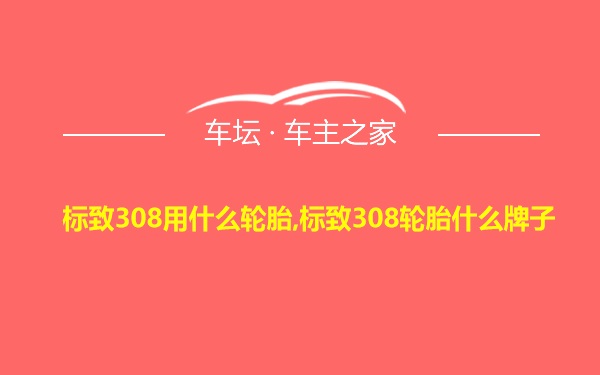 标致308用什么轮胎,标致308轮胎什么牌子