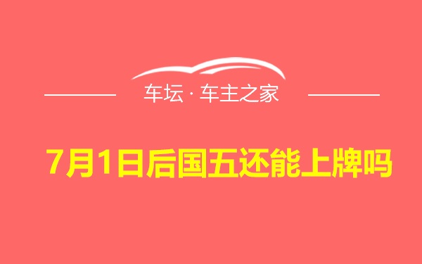 7月1日后国五还能上牌吗