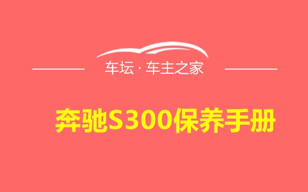 奔驰S300保养手册