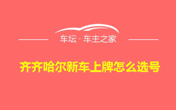 齐齐哈尔新车上牌怎么选号