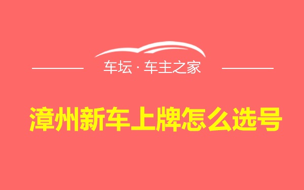 漳州新车上牌怎么选号