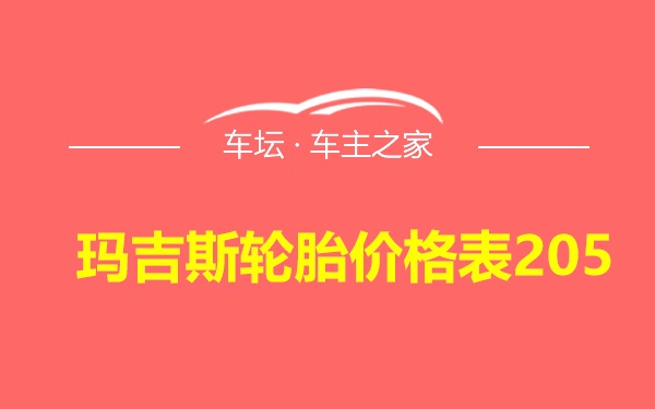 玛吉斯轮胎价格表205