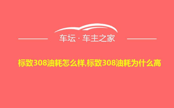 标致308油耗怎么样,标致308油耗为什么高