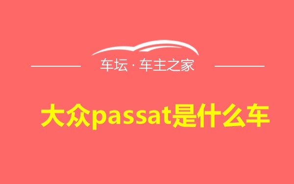 大众passat是什么车