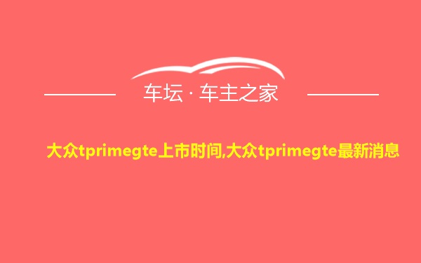 大众tprimegte上市时间,大众tprimegte最新消息