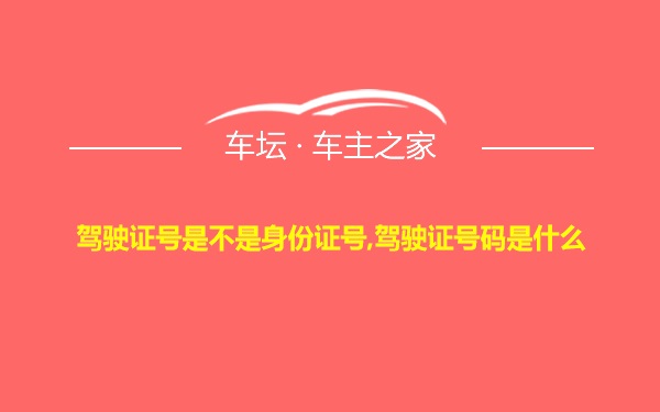 驾驶证号是不是身份证号,驾驶证号码是什么