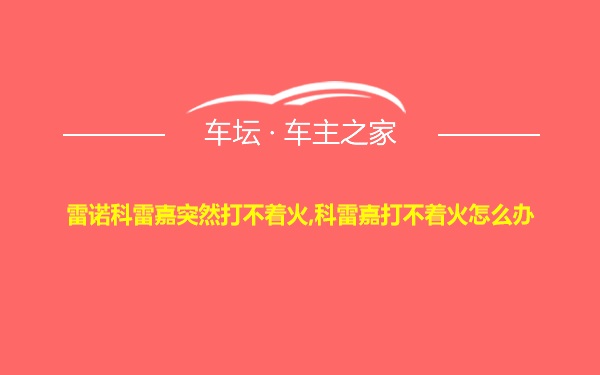 雷诺科雷嘉突然打不着火,科雷嘉打不着火怎么办