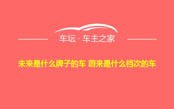 未来是什么牌子的车 蔚来是什么档次的车