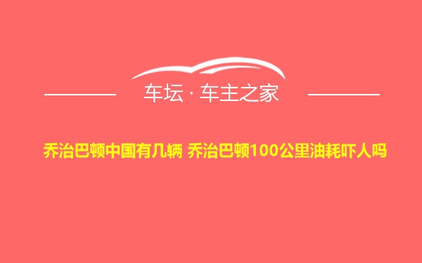 乔治巴顿中国有几辆 乔治巴顿100公里油耗吓人吗