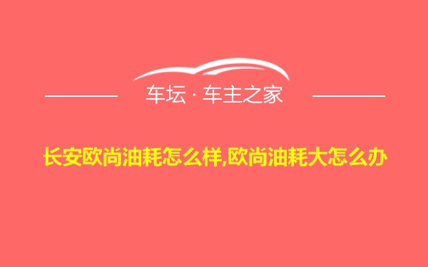 长安欧尚油耗怎么样,欧尚油耗大怎么办