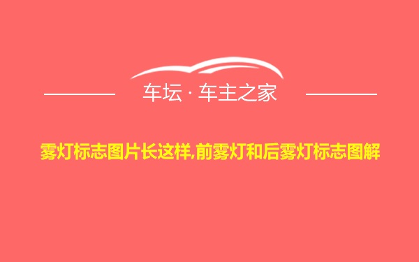 雾灯标志图片长这样,前雾灯和后雾灯标志图解